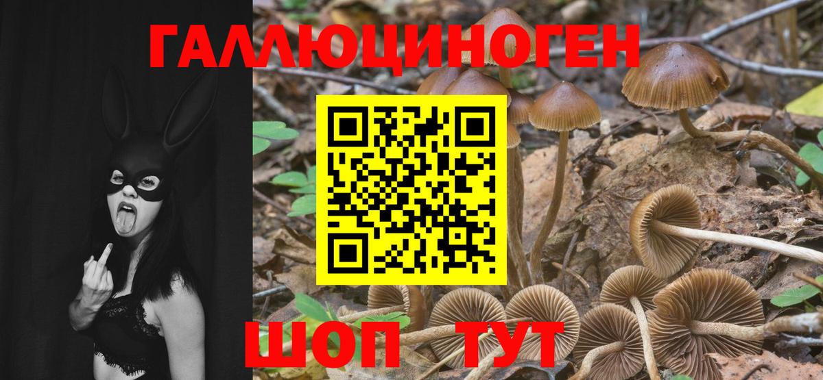 Галлюциногенные грибы прущие грибы Гусь-Хрустальный