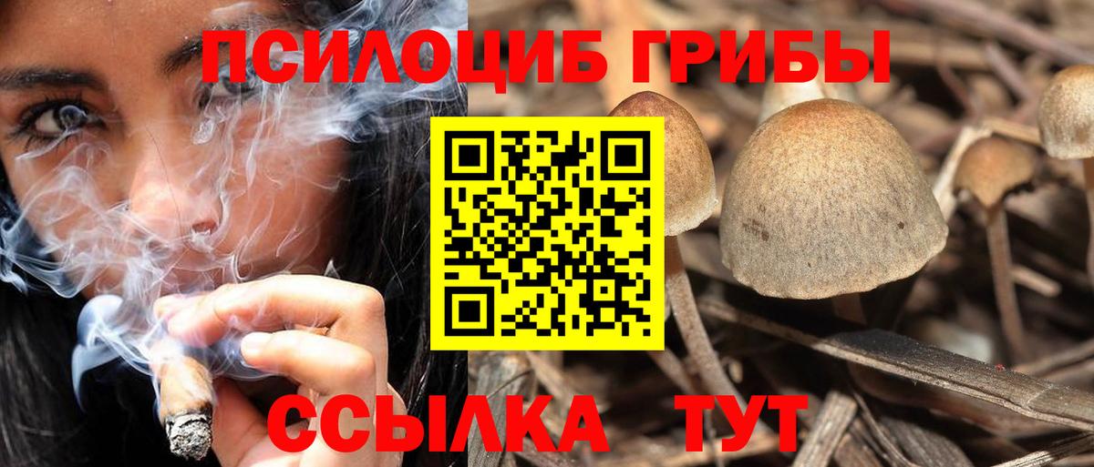 Галлюциногенные грибы Magic Shrooms  Вход с VPN  Галлюциногенные грибы мухоморы  Гусь-Хрустальный 
