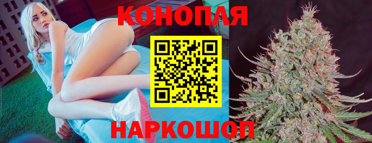 Бошки Шишки ГИДРОПОН  Бошки Шишки конопля  Вход с VPN  Конопля семена  Бошки Шишки THC 21%  Гусь-Хрустальный 